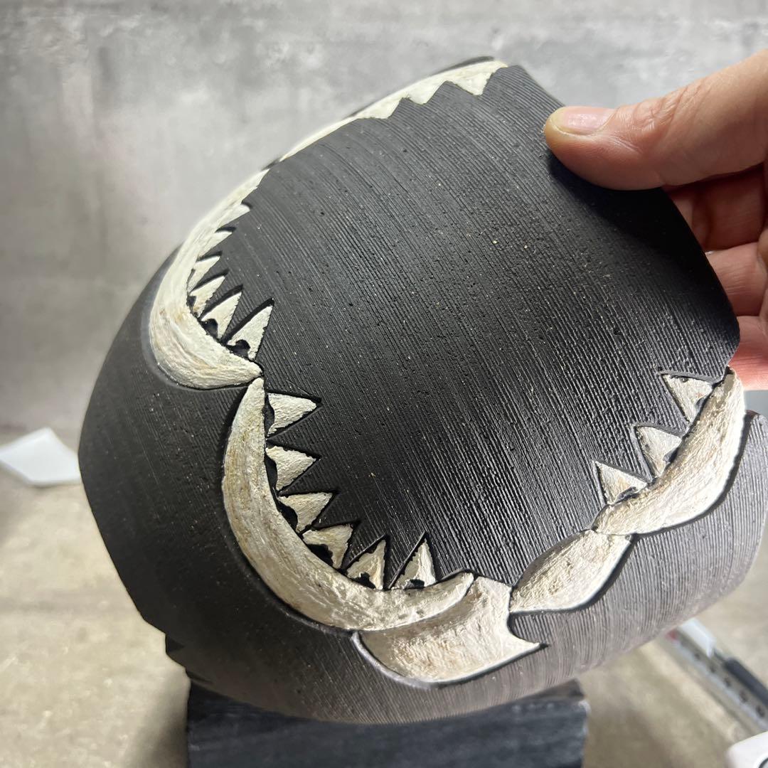 リー樣確認手作植木鉢 LLサイズ 検（ 塊根植物 グラキリス パキプス )