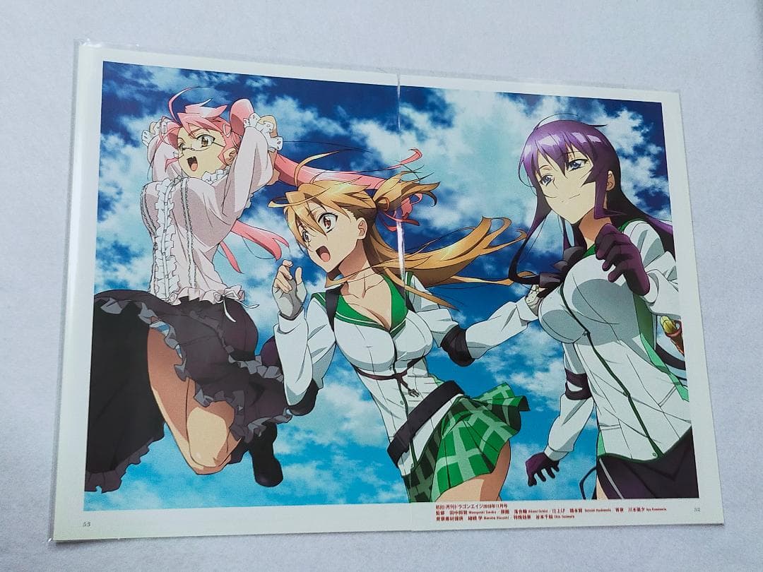 ハイスクールオブザデッド　額装飾　学園黙示録　漫画本＞カード＞ポスター＞その他