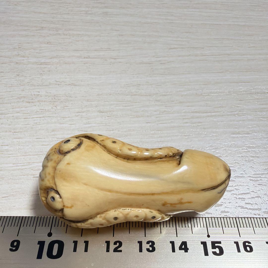 根付 イカ （恐らく） 江戸期 netsuke