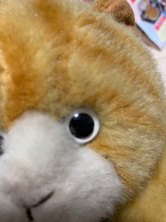 ホワッツマイケル　サンアロー　メイドインJapan 希少品