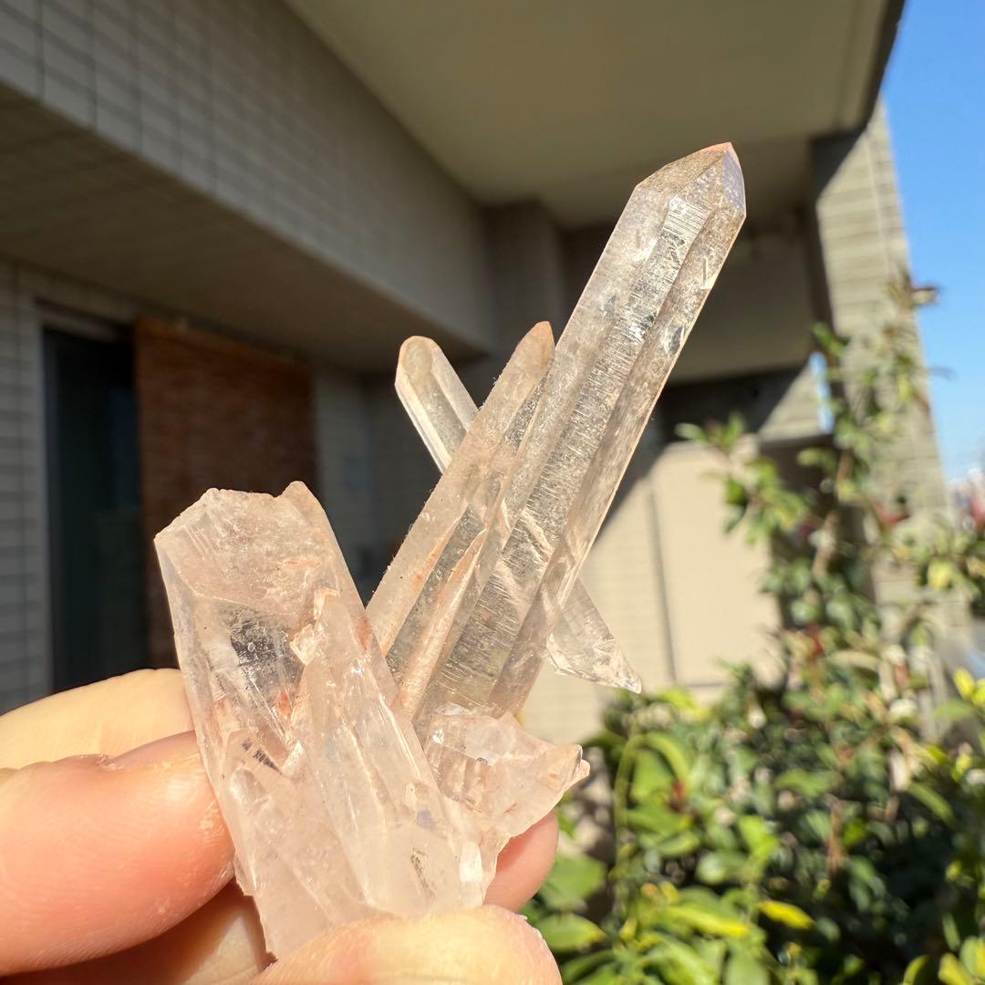 n.♡様　確認用