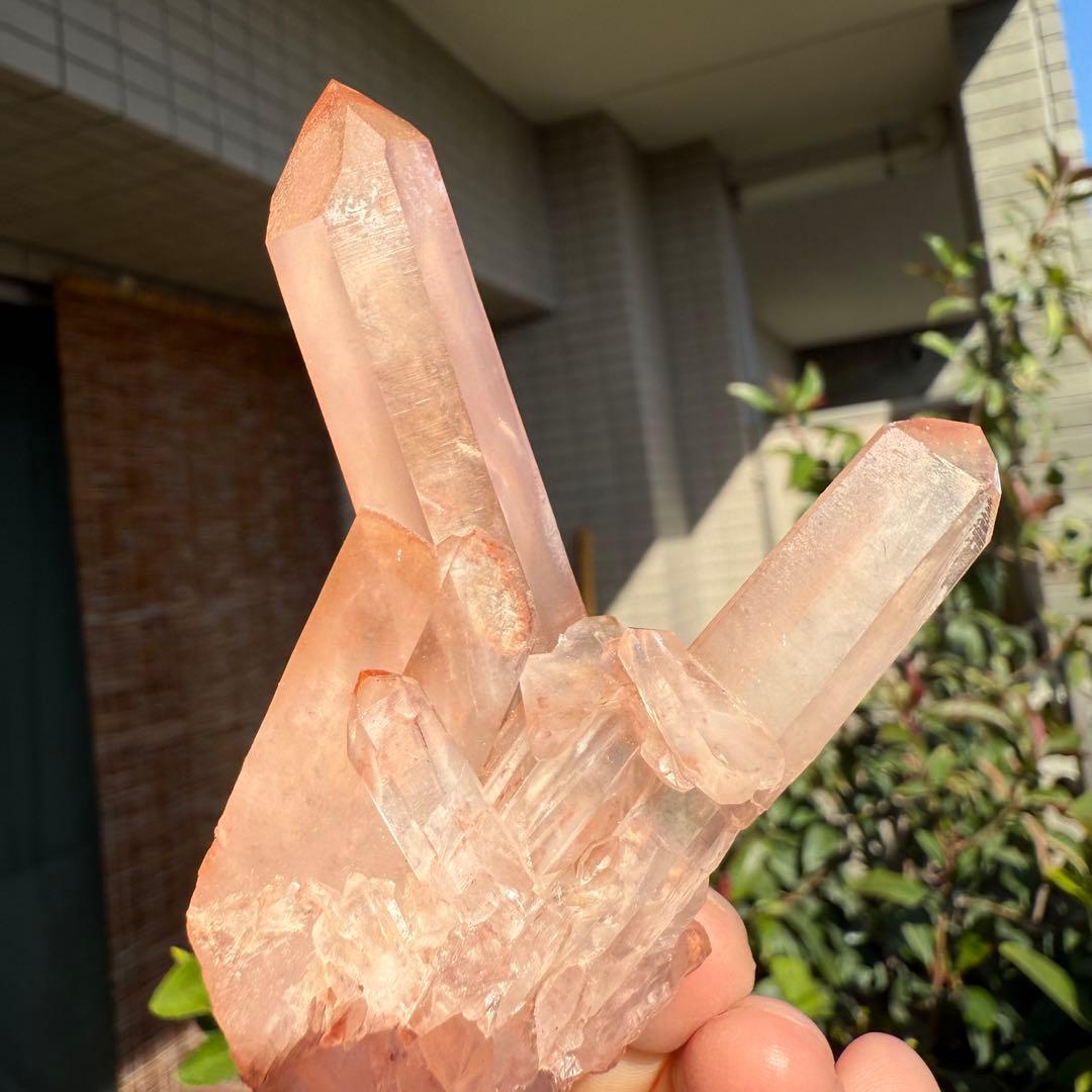 n.♡様　確認用