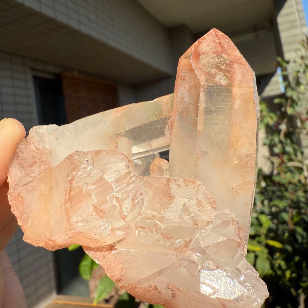 n.♡様　確認用