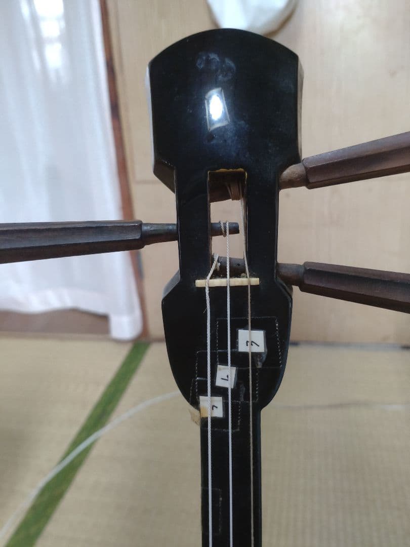 沖縄三味線本体 ヘビ皮製 3弦 蛇模様ハードケース付