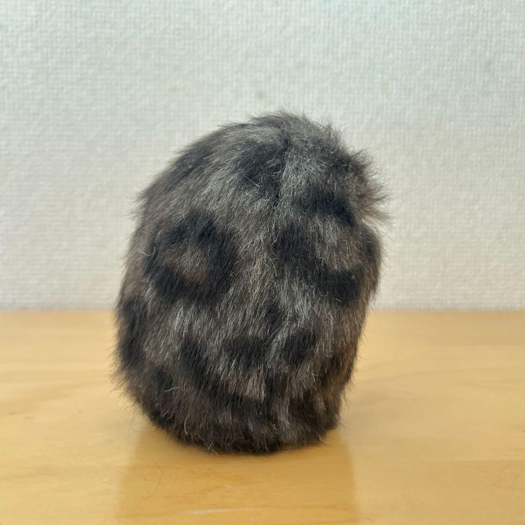 光線 CO-SEN ✴︎ Kurohyo ✴︎ ぬいぐるみ