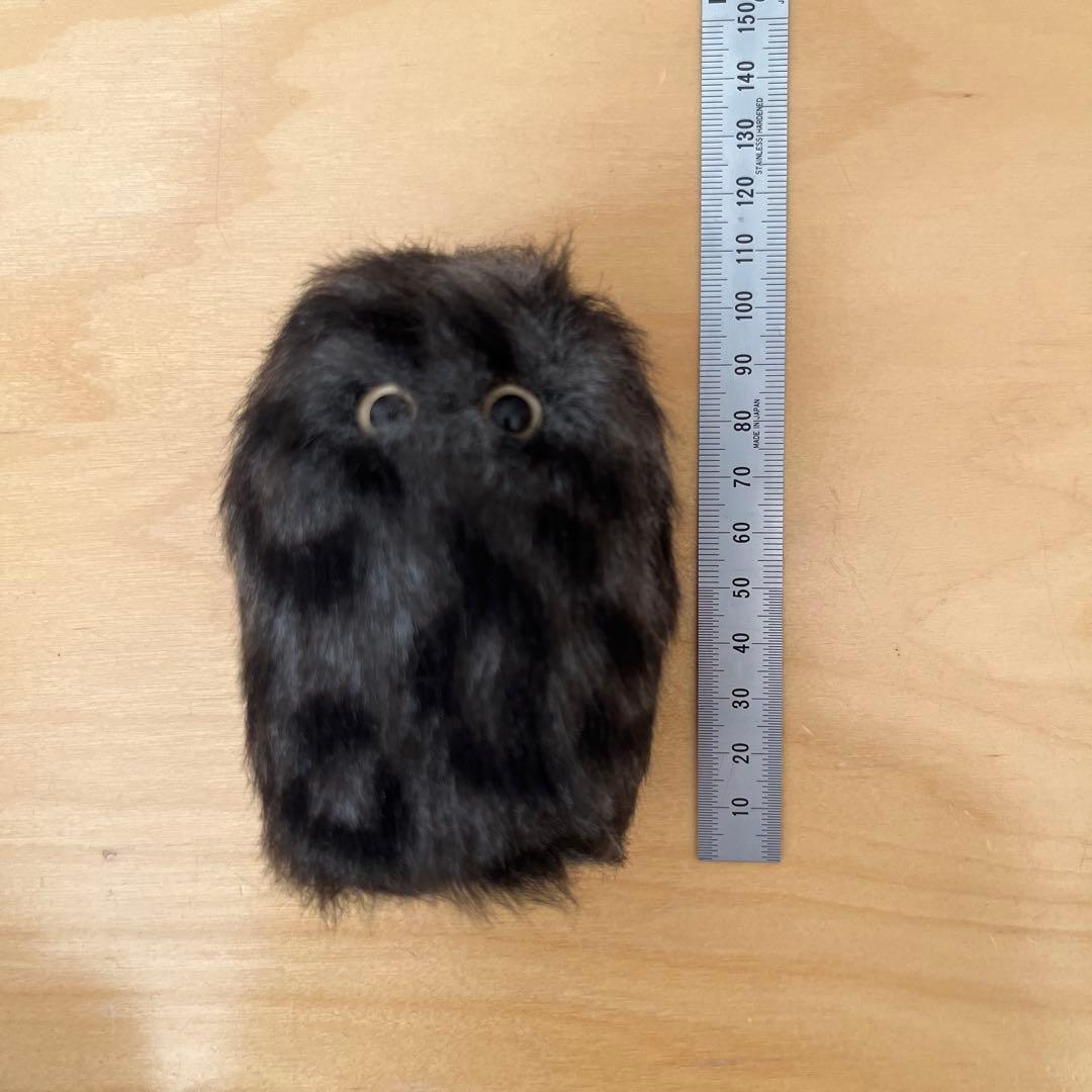 光線 CO-SEN ✴︎ Kurohyo ✴︎ ぬいぐるみ