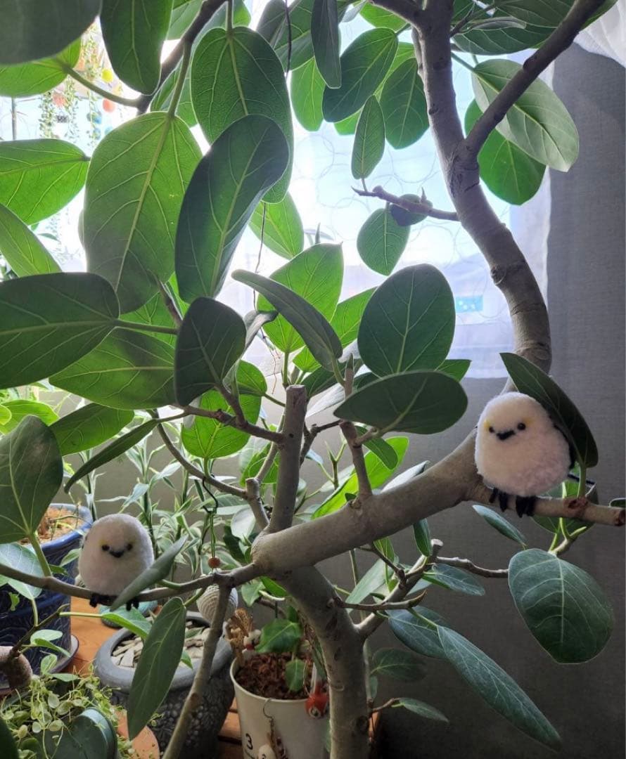 シマエナガ　１羽　ポンポン　ダルマ毛糸