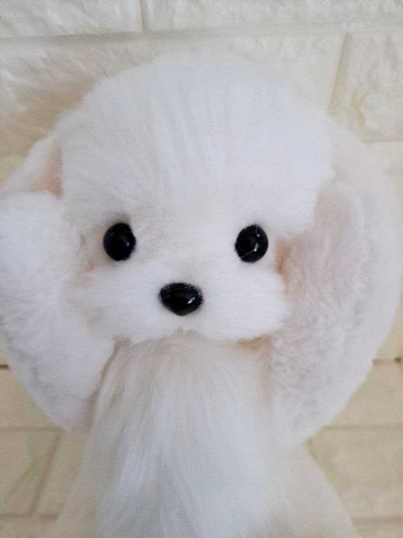 6.ぬいぐるみ、テディマルチーズ、犬、ハンドメイド、オリジナル、特大、