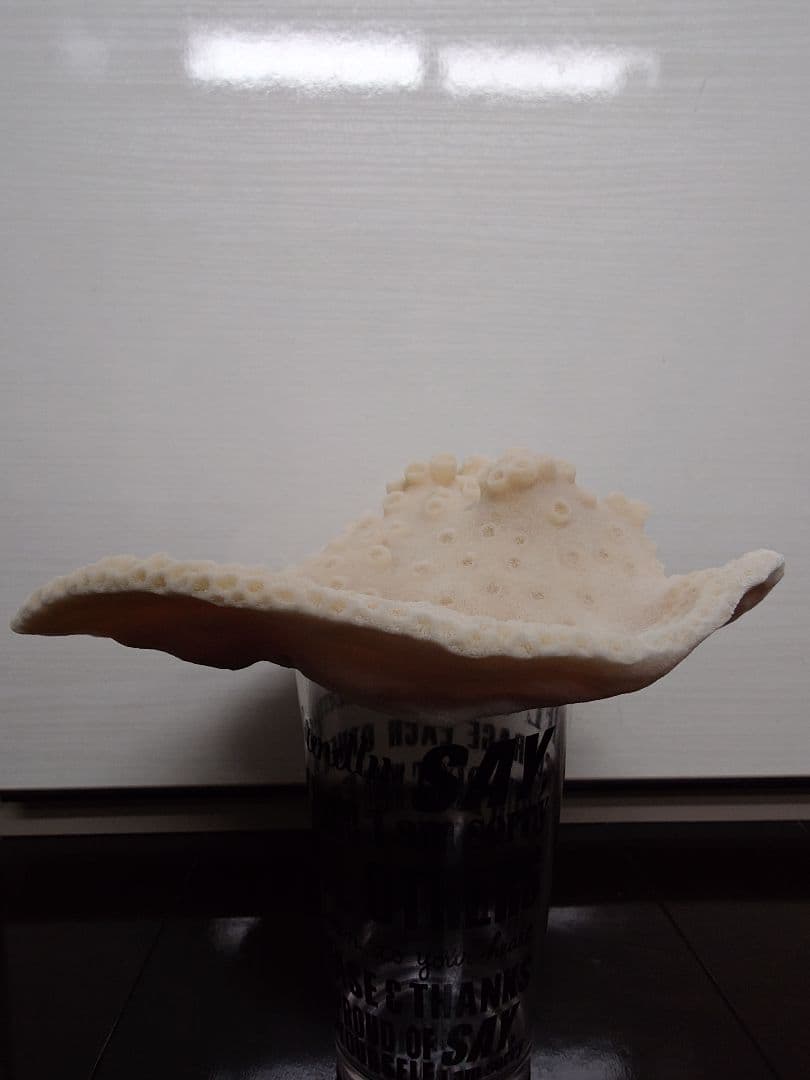 飾りサンゴ 特大サイズ