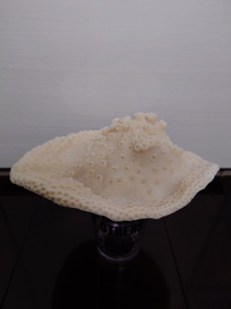 飾りサンゴ 特大サイズ