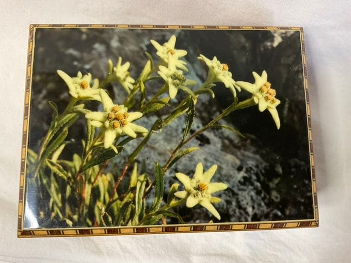 リュージュ社のオルゴール