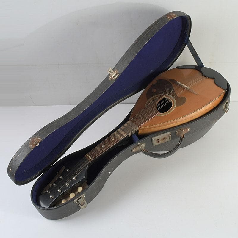 マンドリン　東京師道音楽学校責任制作　№C号　弦・ハードケース付　V　9417A