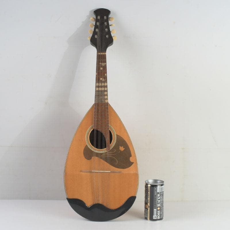 マンドリン　東京師道音楽学校責任制作　№C号　弦・ハードケース付　V　9417A