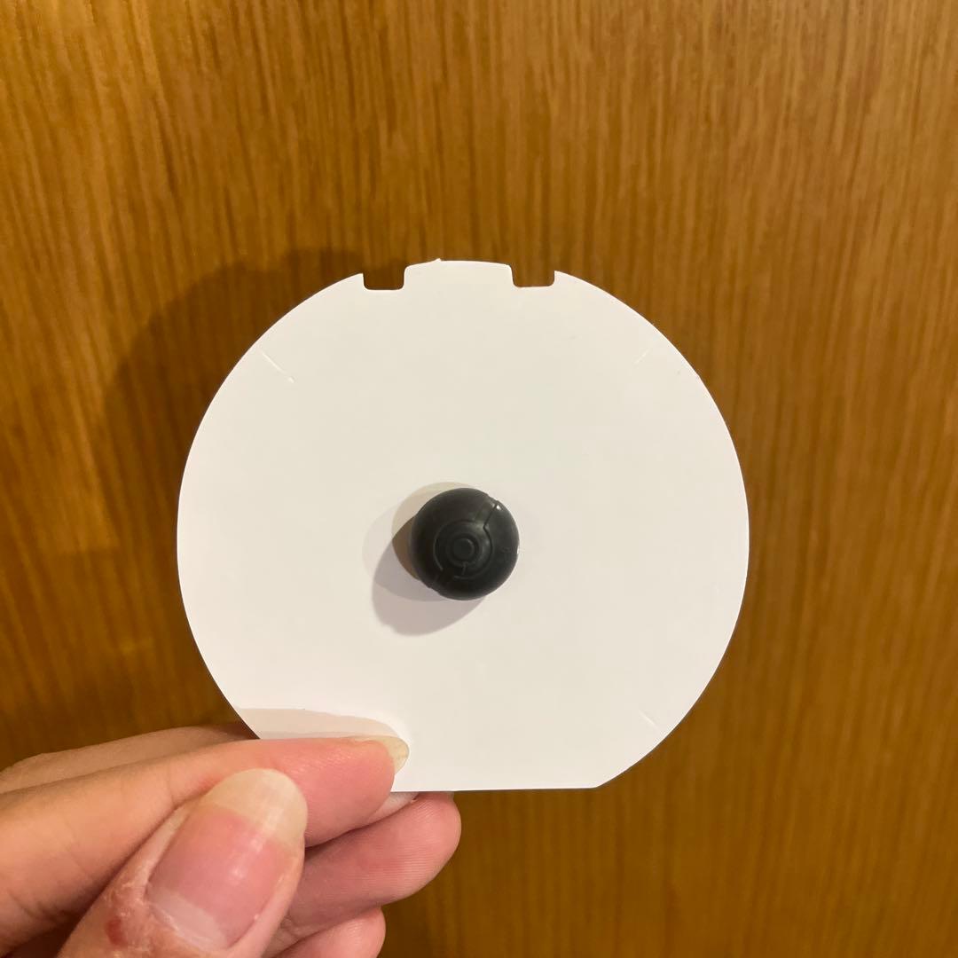 ポケパークカントー ライチュウ - メルカリ