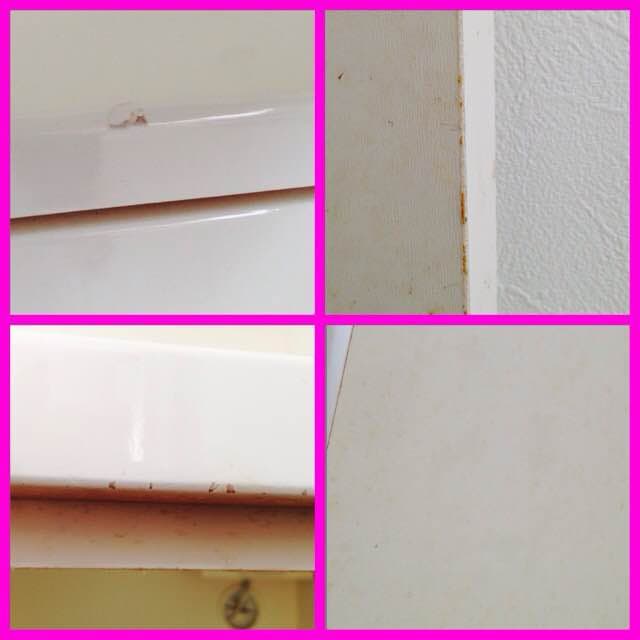 ニトリの食器棚