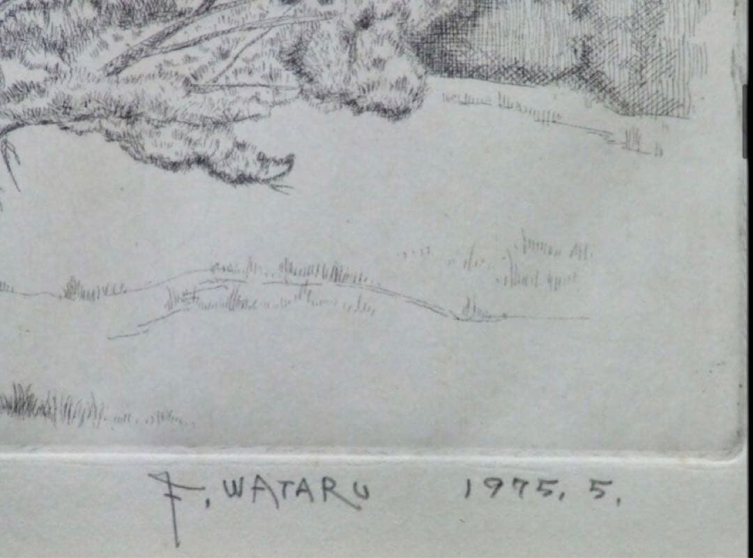 【AP】藤岡亘「木曽才勝の一本松」エッチング 1975年 直筆サイン 額装