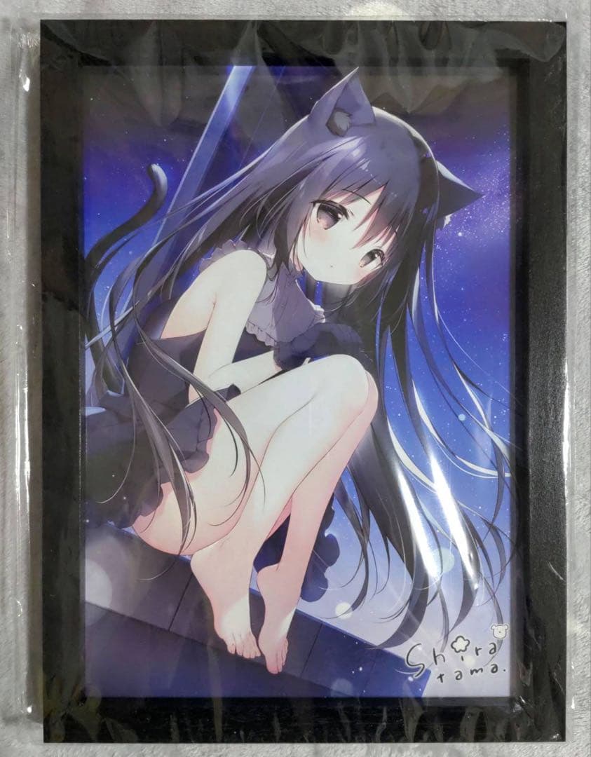 たまこてん2 京都巡回展 星空鉄道とシロの旅 額付 サイン入り ミニ