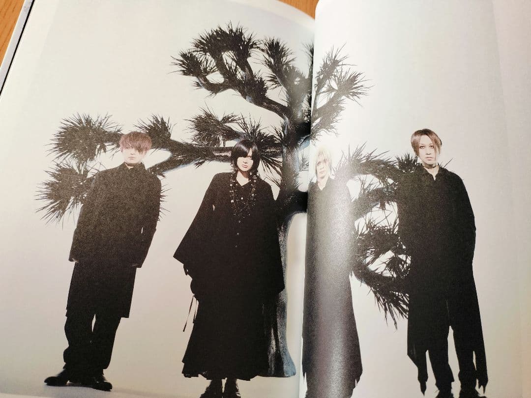 Plastic Tree グッズまとめ売り