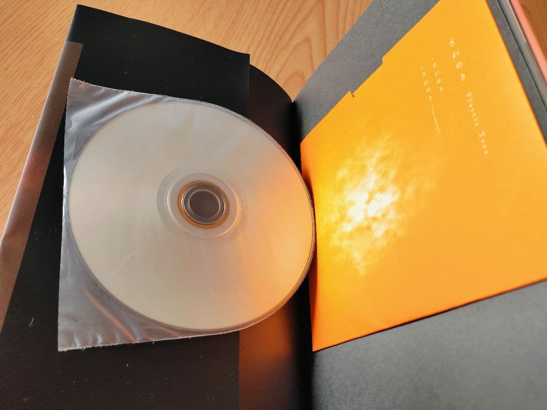 Plastic Tree グッズまとめ売り