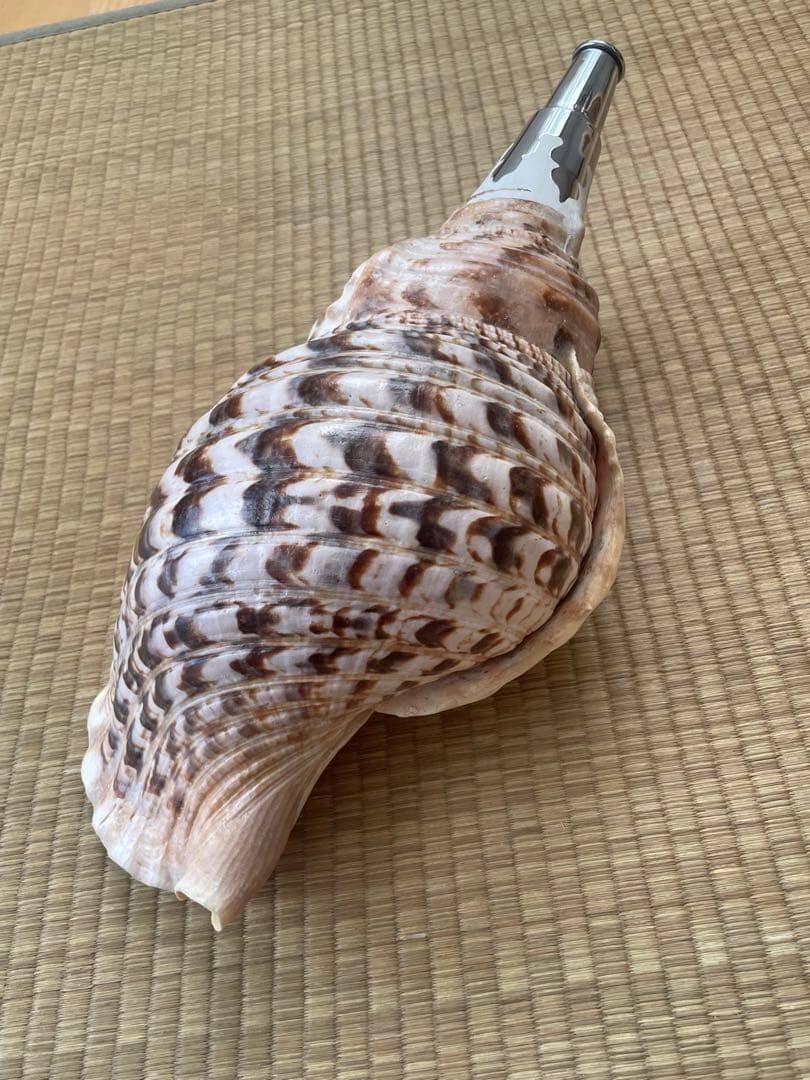 法螺貝　ほら貝　ホラ貝　神社　お寺　密教　お遍路　修験道　山伏　お祭り