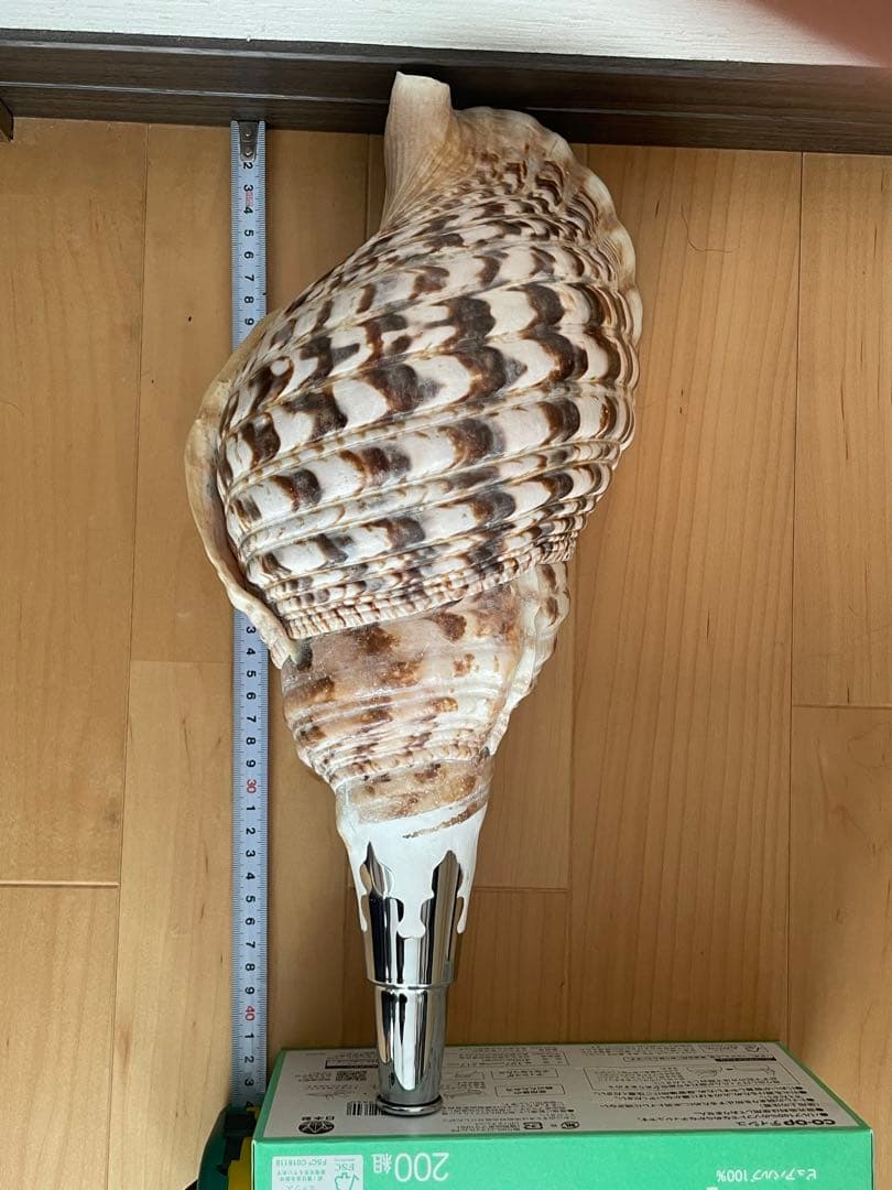 法螺貝　ほら貝　ホラ貝　神社　お寺　密教　お遍路　修験道　山伏　お祭り