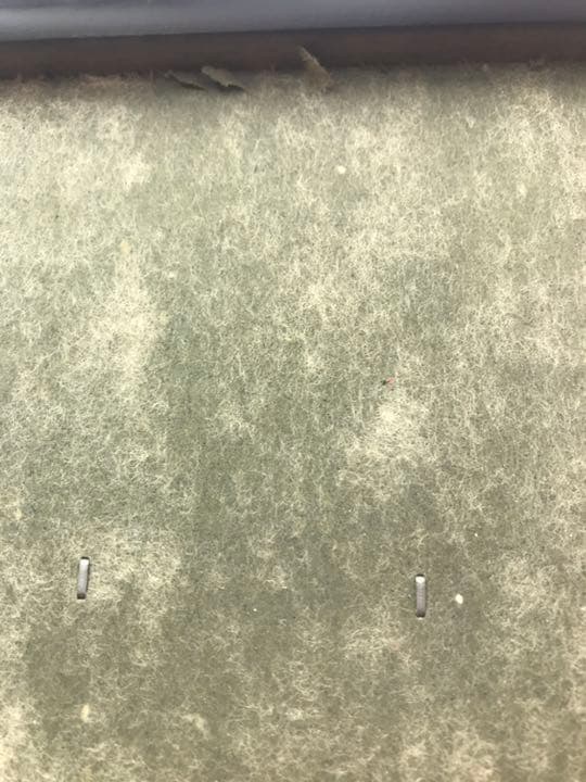 15号　夢寿美　羽子板　ガラスケース入