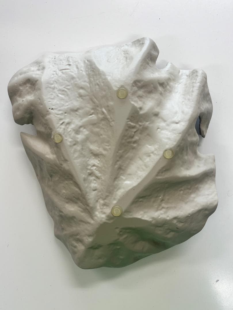 BoConcept 小物入れ / Velvet leaf / 彫刻