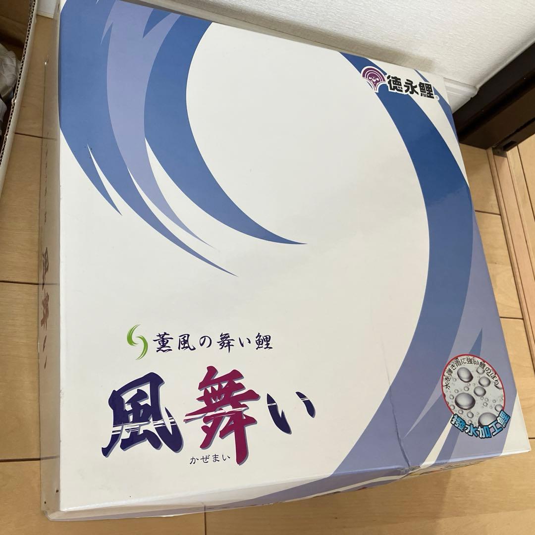 徳永鯉　鯉のぼり　風舞い　3M