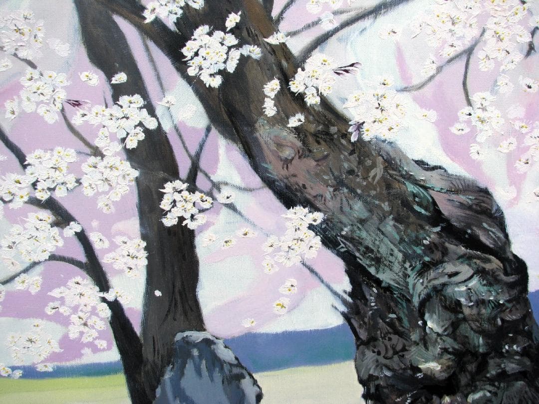 川島眞佐「石部桜」M50号油彩,会津の有名桜,見事な枝ぶり