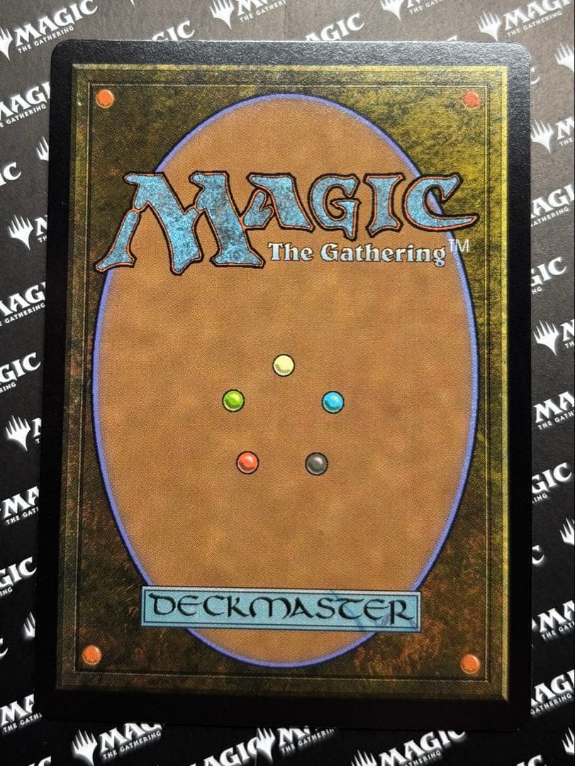 MTG 花を手入れする者 ジャパンショーケース フラクチャーFOIL 英語版
