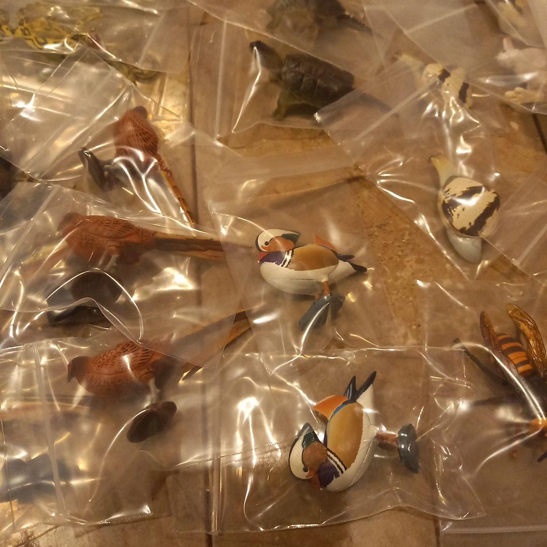 レア☆タカラ☆海洋堂☆チョコQ☆animal series7 ☆22種69点☆ - メルカリ