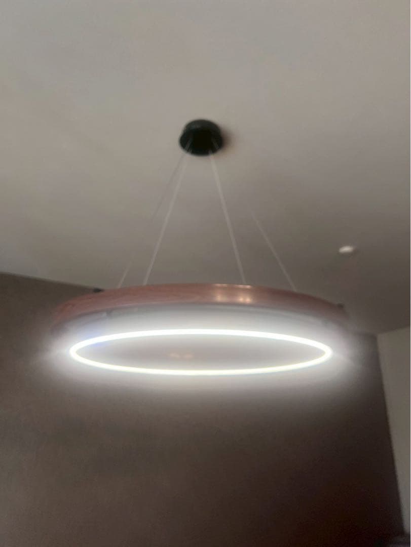 【直径80cm】特大LEDペンダントライト 北欧モダン 高さ調整可 青山購入