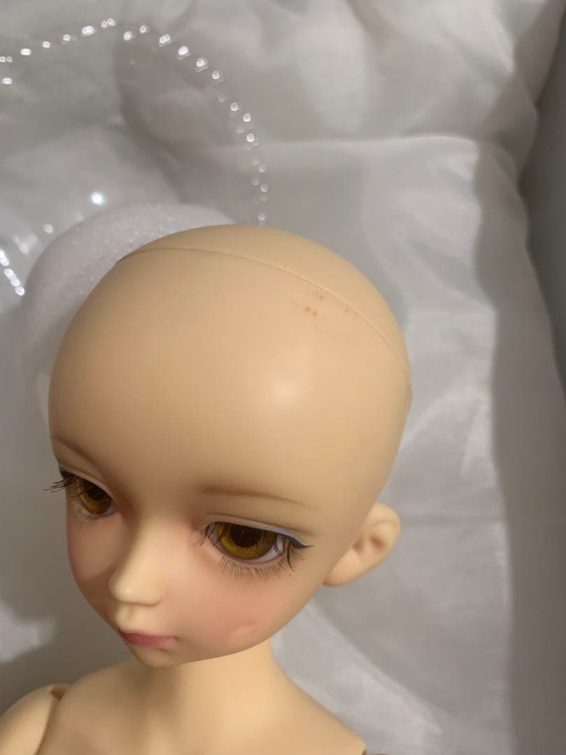 本体のみMSDトッピハウステンボスお散歩verBABY,THE STARSコラボ