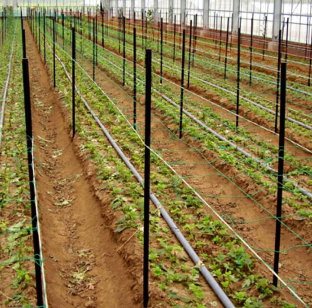 引き取り限定　農業用支柱　コンポーズパイプ　φ20mm×1.5m　100本