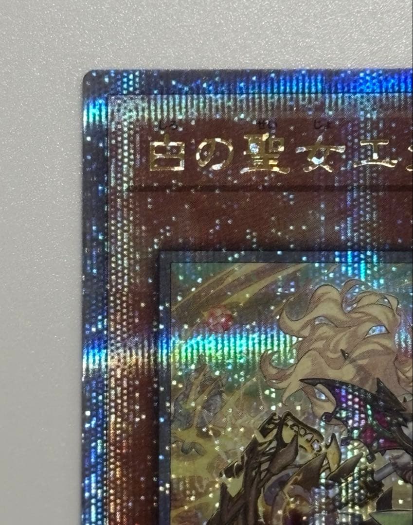 遊戯王　白の聖女エクレシア　絵違い　25シク クォシク　1枚