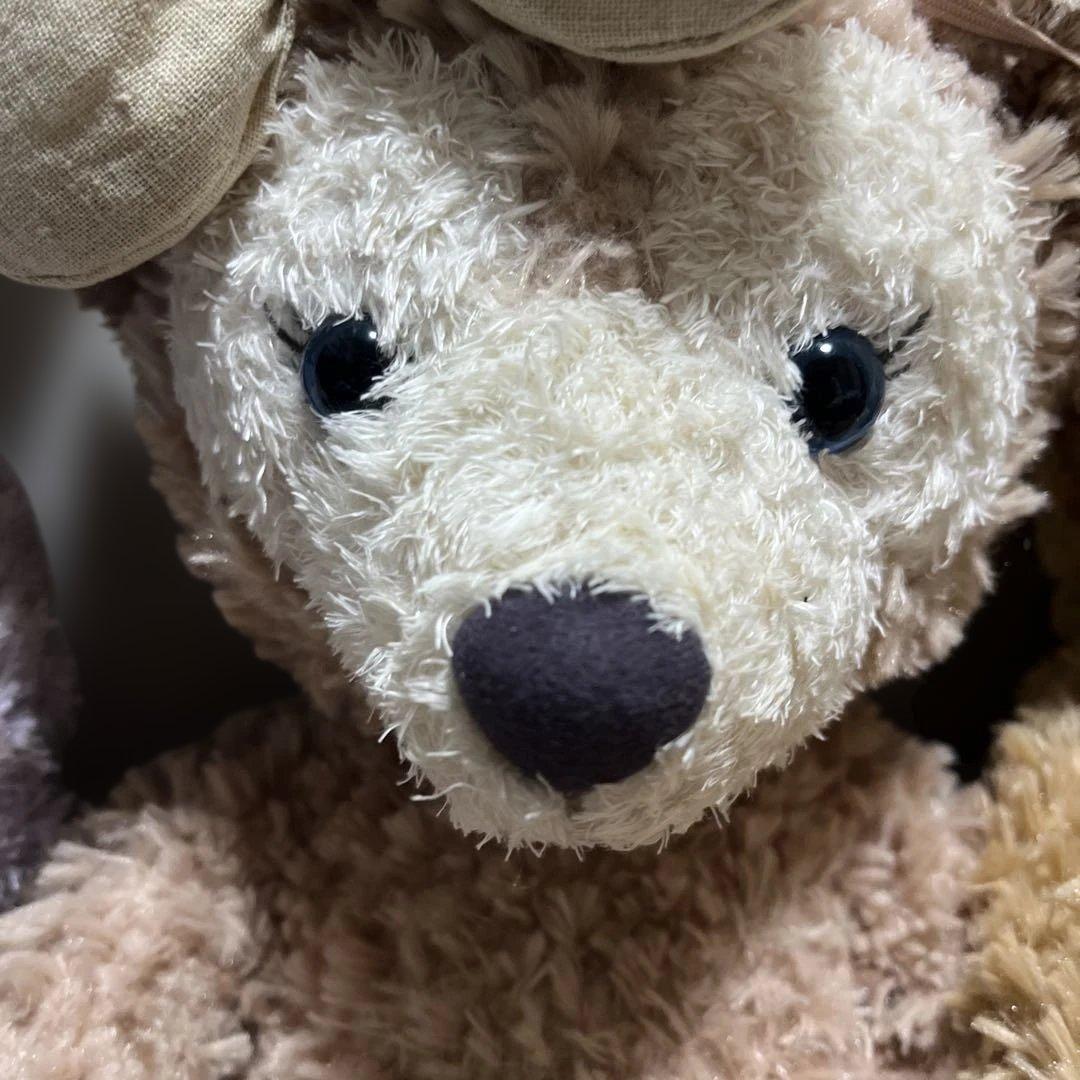 ダッフィー&フレンズ ぬいぐるみ Sサイズ 香港 ディズニーシー 正規品