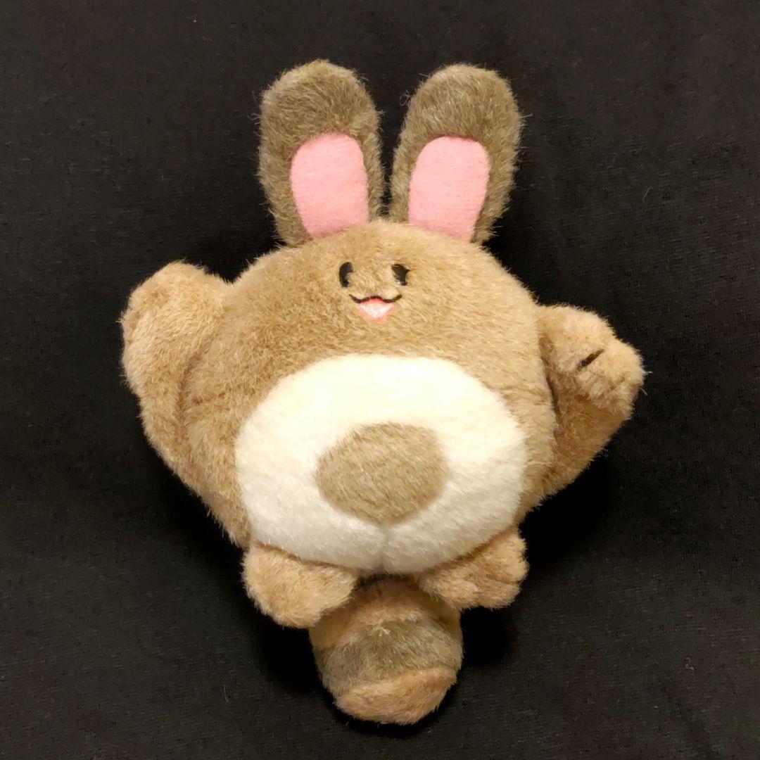 ポケモン オタチ ぬいぐるみ 初期 初代 TOMY タカラトミー 美品 - メルカリ