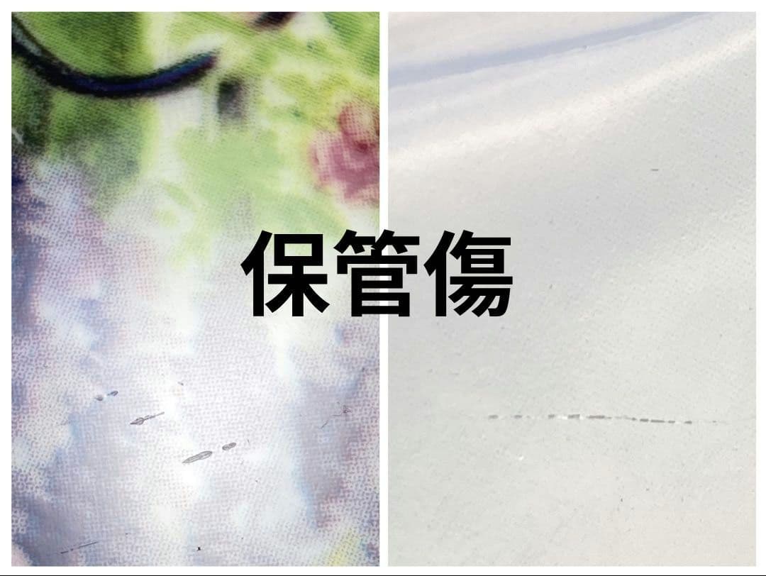 シークレットガーデン　プレート　　装飾品　壁掛　飾り皿　花　秘密の花園