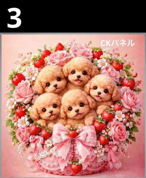 オーダーページ ハンカチ131 花ブーケわんこ柄 ハンドメイド2/15