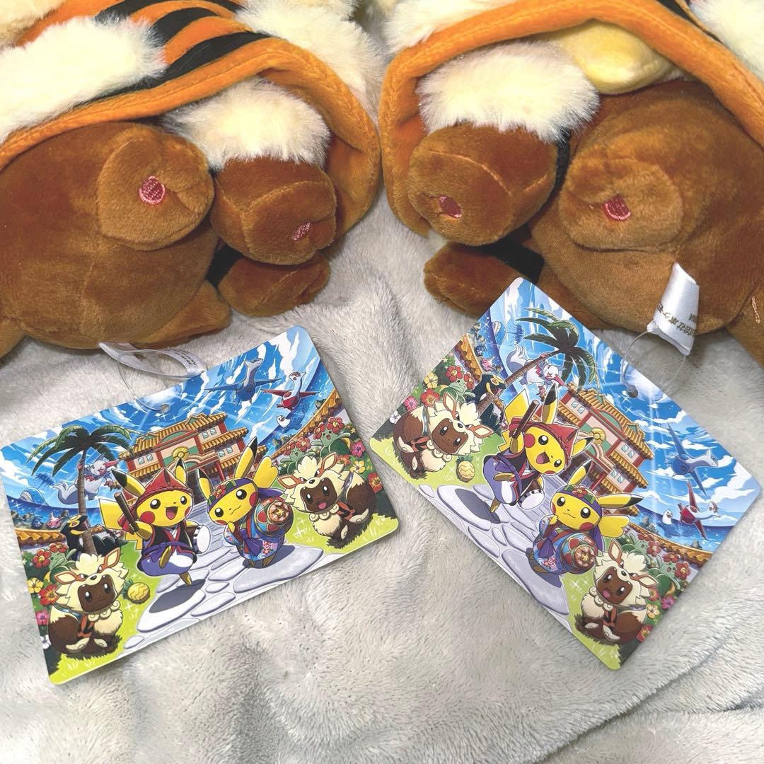 ポケモンセンター 沖縄限定 ウィンディポンチョ イーブイ ぬいぐるみ