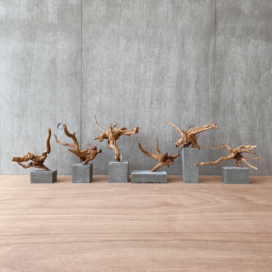 コンクリート盆栽 (m E ) 流木 オブジェ ディスプレイ 高級感