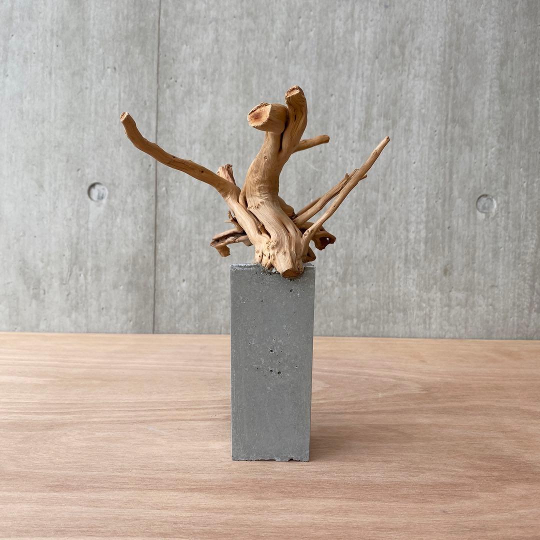 コンクリート盆栽 (m E ) 流木 オブジェ ディスプレイ 高級感