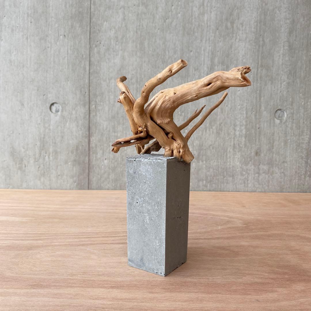 コンクリート盆栽 (m E ) 流木 オブジェ ディスプレイ 高級感