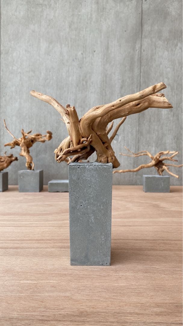コンクリート盆栽 (m E ) 流木 オブジェ ディスプレイ 高級感