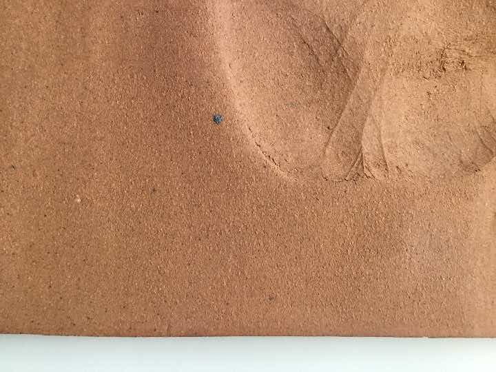 アーティスト  ベース奏者。