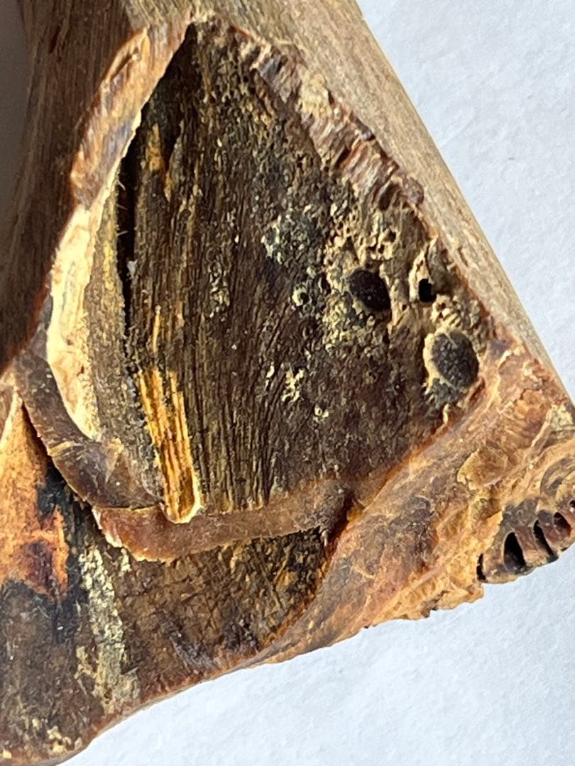 角？ 脂木 ？漢薬？重さ: 19 g 箱 金千両 昭和 レトロ