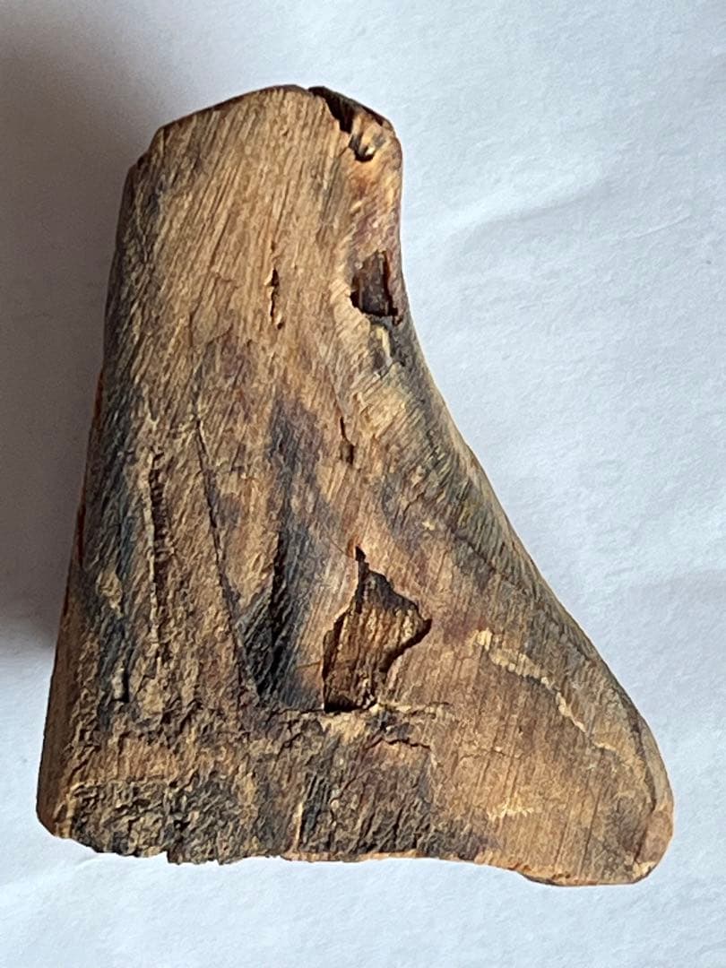 角？ 脂木 ？漢薬？重さ: 19 g 箱 金千両 昭和 レトロ