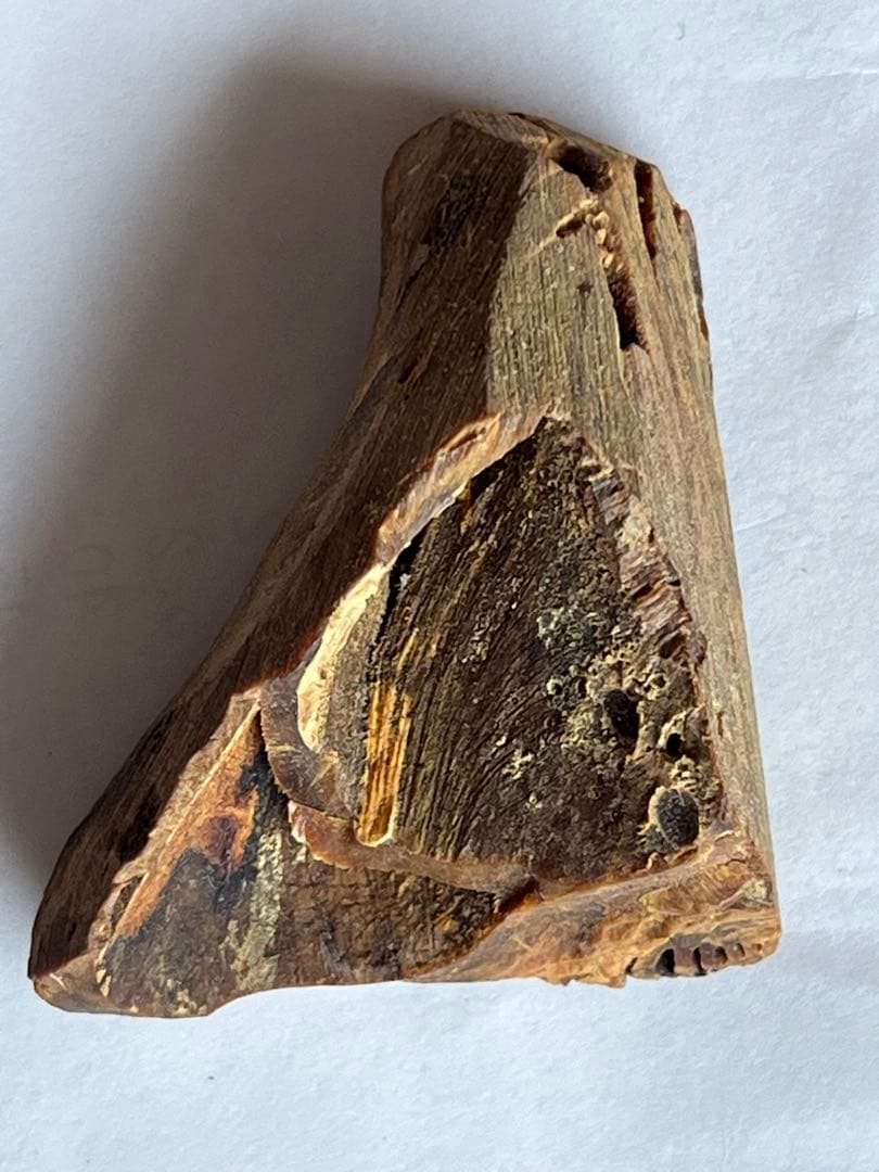 角？ 脂木 ？漢薬？重さ: 19 g 箱 金千両 昭和 レトロ