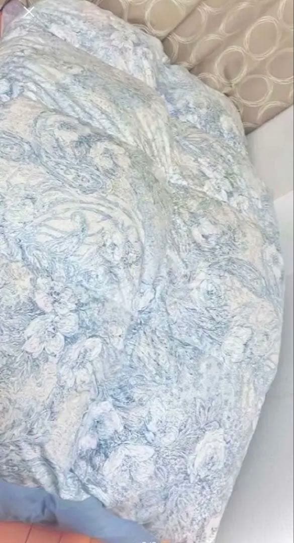 西川羽毛布団　ダウン95%、フェザー5%