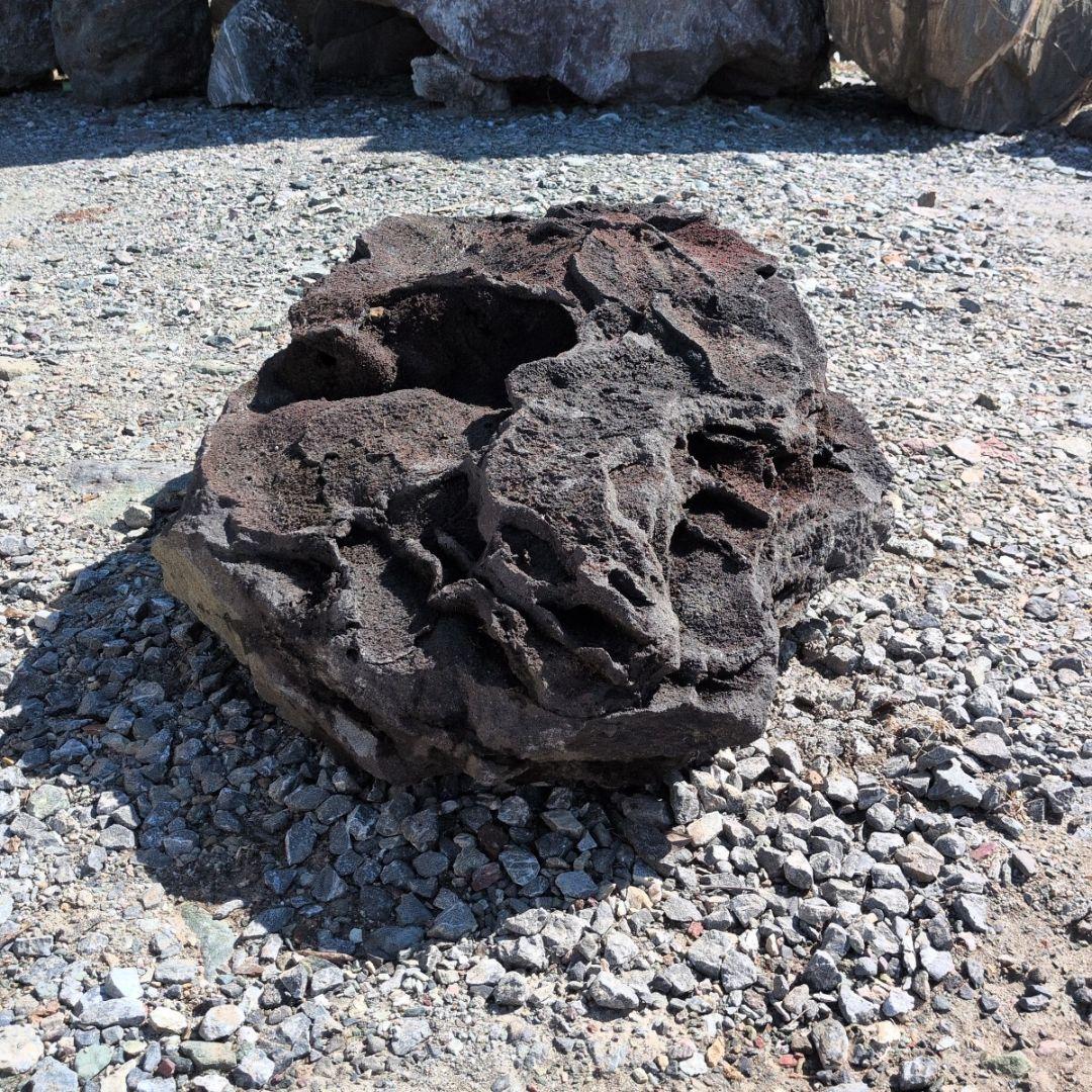 浅間溶岩石　56キロ　庭石　石　石材 庭　坪庭　ガーデニング　鑑賞石